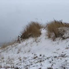 Snowy dunes