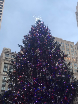 Christmas Tree all lit up at Bryant Park's Winter Village, NYC