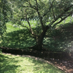 Man-made brook running through Arlington National Cemetery