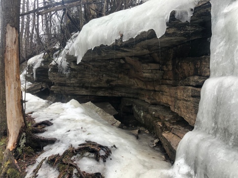 Melting ice on rock ledge along forest trail, Minnewaska Preserve, New York