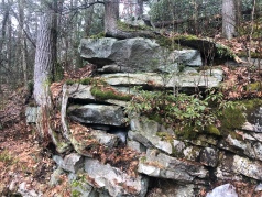 Quartz rock conglomerate along forest trail, Minnewaska Preserve, New York