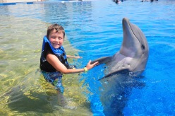boy and bottlenose dolphin doing flipper handshake, Marineland, Florida