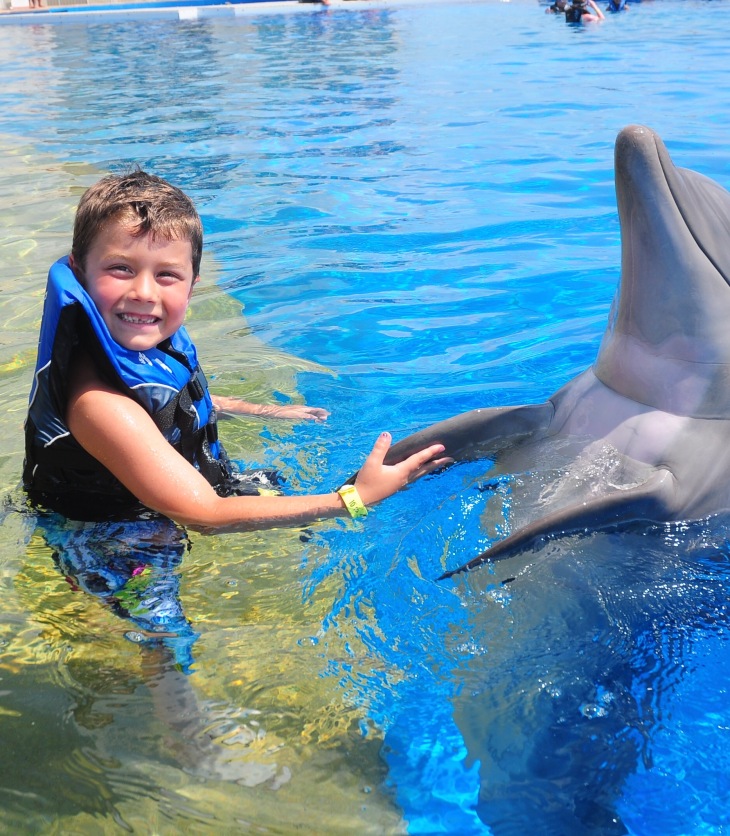 boy and bottlenose dolphin doing flipper handshake, Marineland, Florida