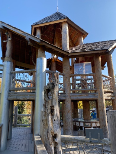 Tree house in the Wild Walk, The Wild Center, Tupper Lake, New York