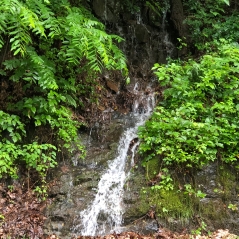Small waterfall roadside on Skyline drive, Shenandoah National park